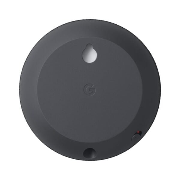 Google Nest Mini